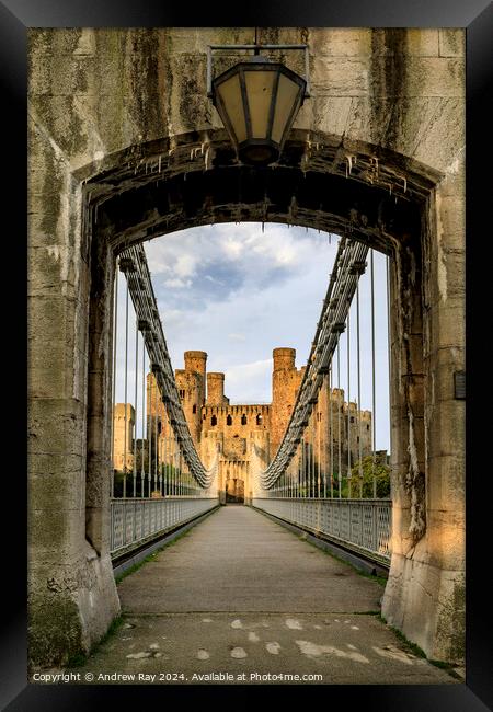 Conwy suspension bridge  Framed Print by Andrew Ray