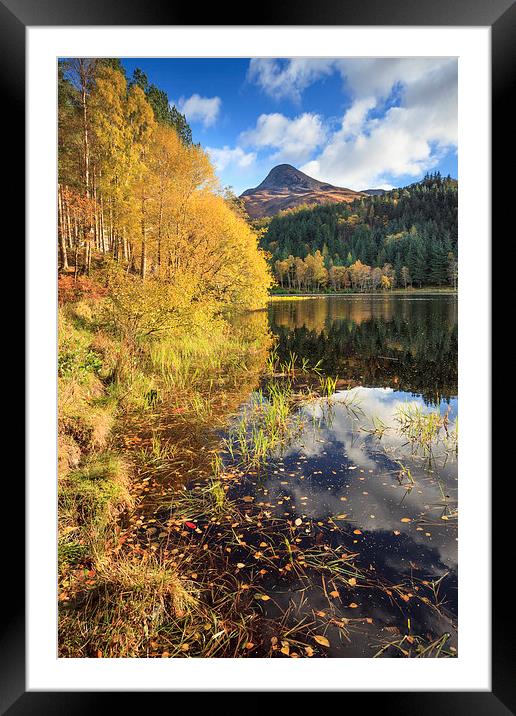 Autumn at Glencoe Lochan.tif Framed Mounted Print by Andrew Ray