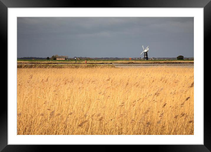 Burgh Castle Marshes Framed Mounted Print by Andrew Ray