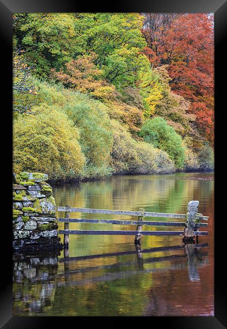 Holme Wood Reflections Framed Print by Andrew Ray