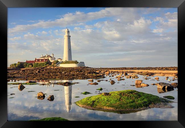 Lighthouse Reflections (St Mary's) Framed Print by Andrew Ray