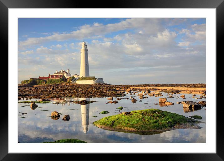 Lighthouse Reflections (St Mary's) Framed Mounted Print by Andrew Ray