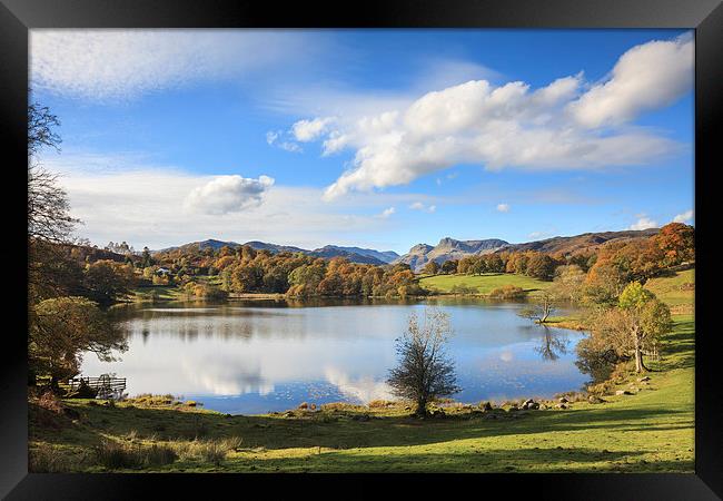 Loughrigg Tarn Framed Print by Andrew Ray