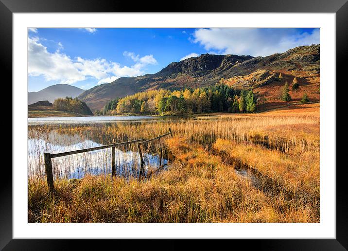 Autumn at Blea Tarn Framed Mounted Print by Andrew Ray
