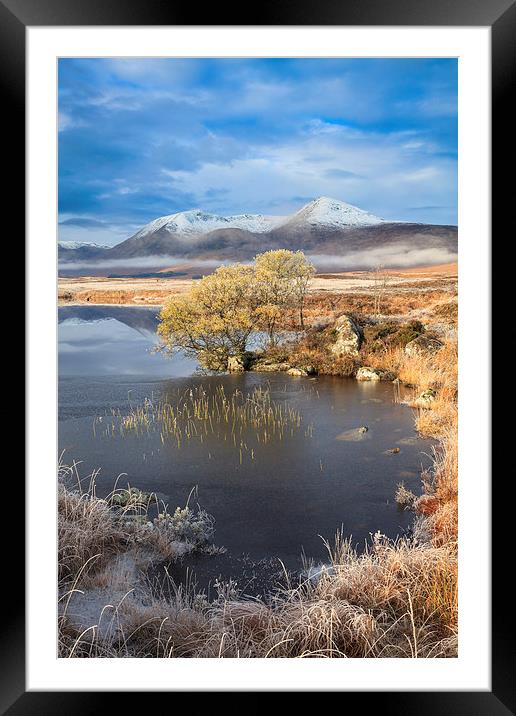 Tree at Black Mount Framed Mounted Print by Andrew Ray