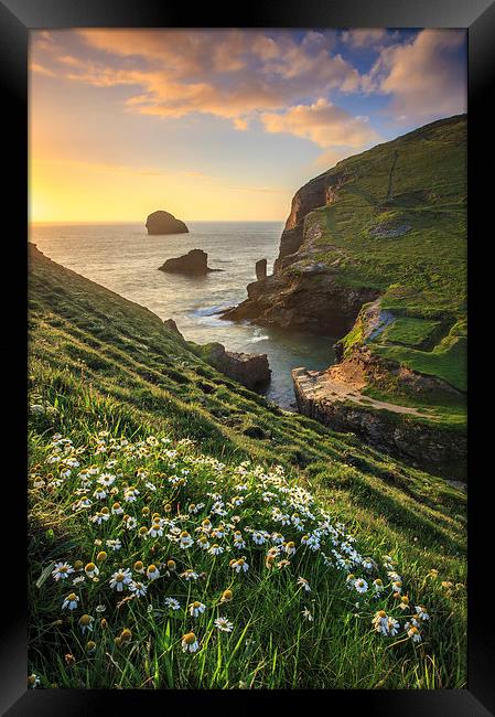 Backways Cove (Trebarwith Strand) Framed Print by Andrew Ray