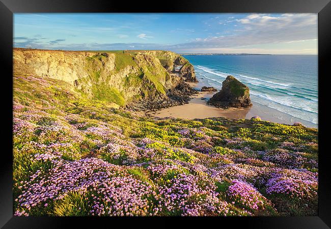 Spring at Bedruthan Steps Framed Print by Andrew Ray