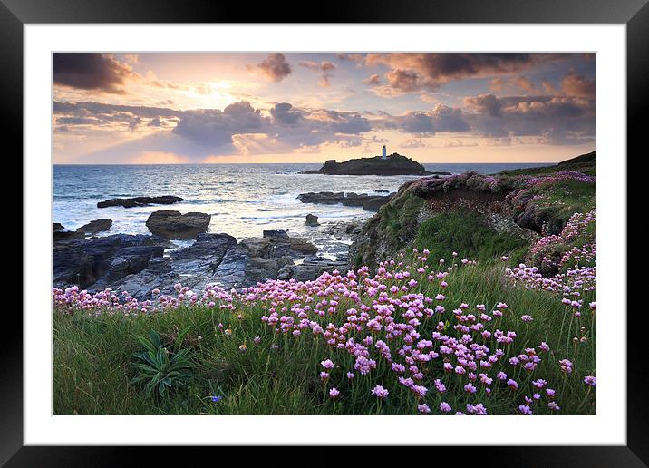 Thrift at Sunset (Godrevy) Framed Mounted Print by Andrew Ray