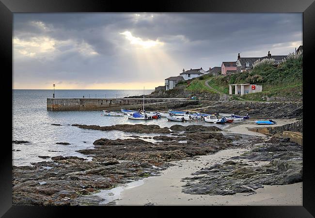 Towards Porthscatho Harbour Framed Print by Andrew Ray