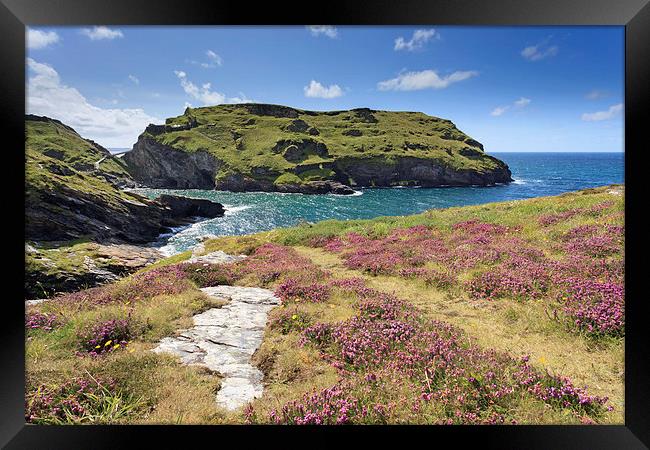 Towards Tintagel Castle Framed Print by Andrew Ray