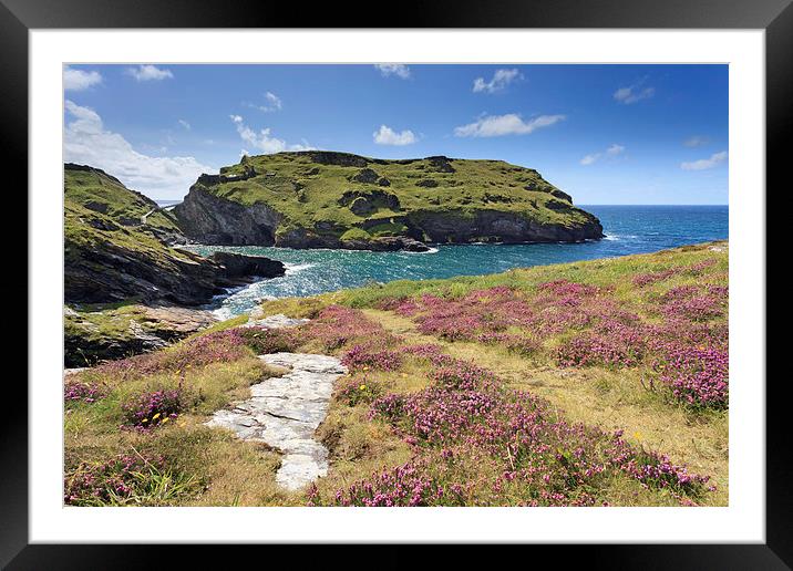 Towards Tintagel Castle Framed Mounted Print by Andrew Ray