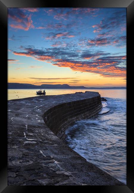 The Cobb at Sunrise Framed Print by Andrew Ray
