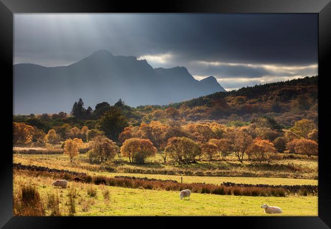 Light Shafts over Ben Loyal Framed Print by Andrew Ray