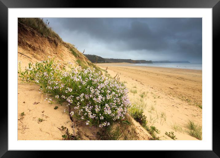 Oxwich Beach Framed Mounted Print by Andrew Ray