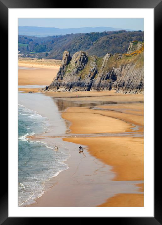 Horses on Three Cliffs Bay Beach Framed Mounted Print by Andrew Ray
