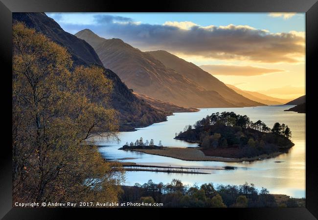 Late Light on the banks of Loch Shiel Framed Print by Andrew Ray