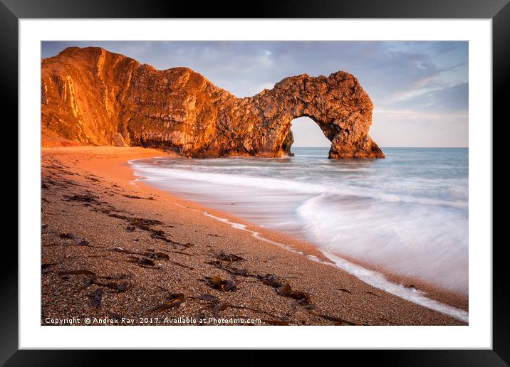 Late Light at Durdle Door Framed Mounted Print by Andrew Ray