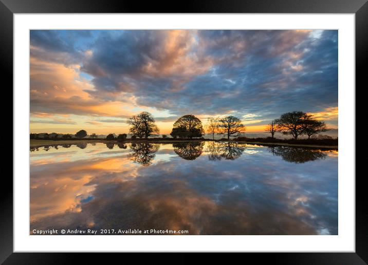 Mogshade Pond at Sunrise Framed Mounted Print by Andrew Ray
