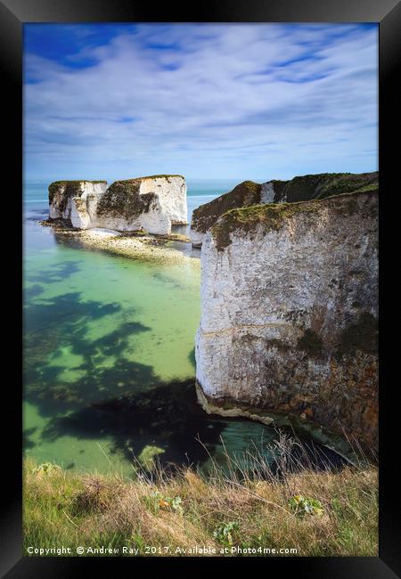 Old Harry Rocks Framed Print by Andrew Ray