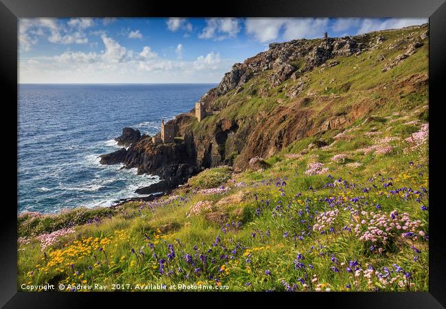 Spring at Botallack  by Andrew Ray (May) Framed Print by Andrew Ray
