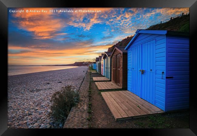 Beach Huts at Budleigh Salterton Framed Print by Andrew Ray