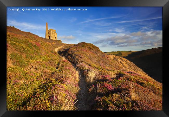 Path to Tywarnhayle Framed Print by Andrew Ray