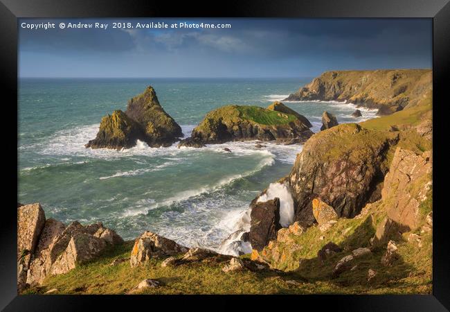 Above Kynance Cove Framed Print by Andrew Ray