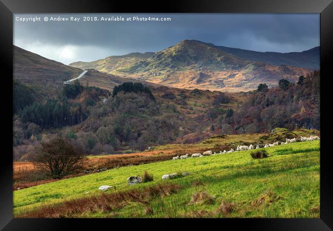 Dolwyddelan view Framed Print by Andrew Ray