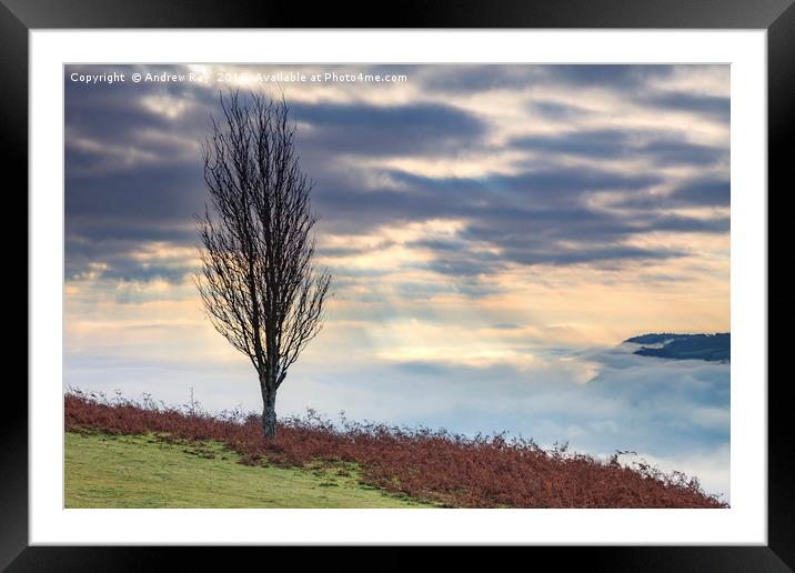 Tree above the Usk Valley Framed Mounted Print by Andrew Ray