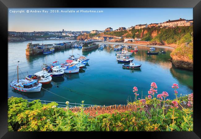 Spring at Newquay Harbour Framed Print by Andrew Ray