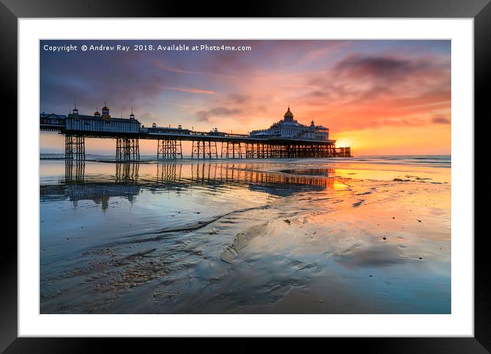 Sunrise at Eastbourne Beach Framed Mounted Print by Andrew Ray
