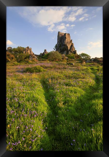 Bluebells at Roche Rock Framed Print by Andrew Ray