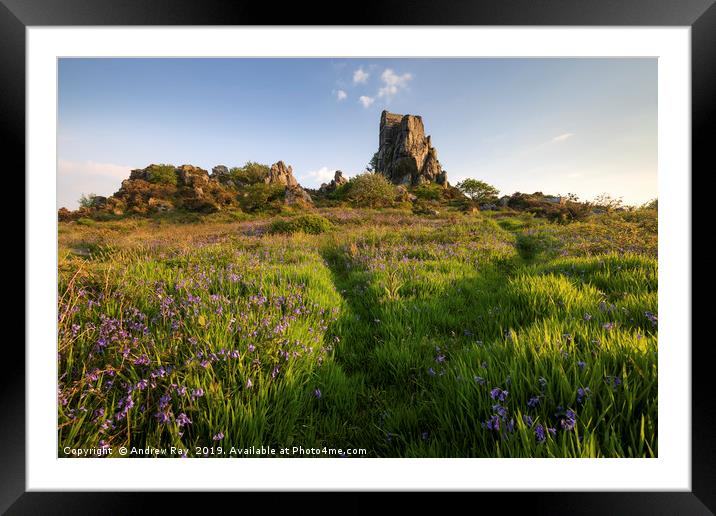 Paths through the Bluebells (Roche Rock Framed Mounted Print by Andrew Ray