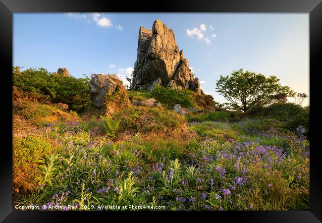 Spring at Roche Rock Framed Print by Andrew Ray
