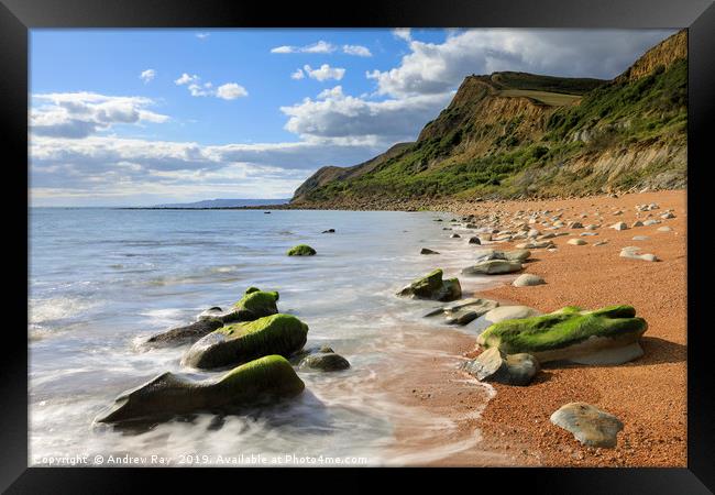 Eype Mouth Beach Framed Print by Andrew Ray