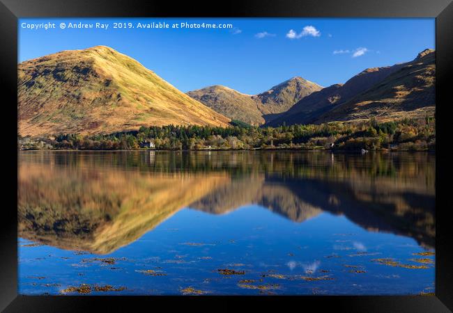 Loch Fyne reflections Framed Print by Andrew Ray
