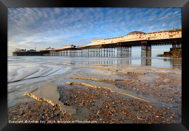 Morning light on Palace Pier (Brighton) Framed Print by Andrew Ray