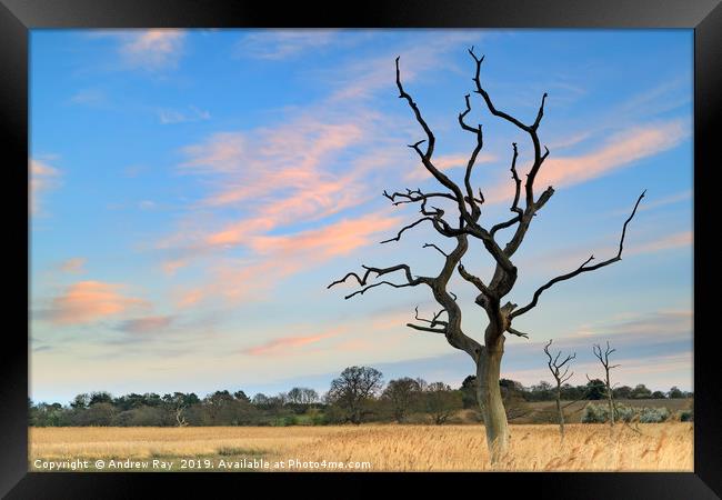 Sunset at Snape Maltings Framed Print by Andrew Ray