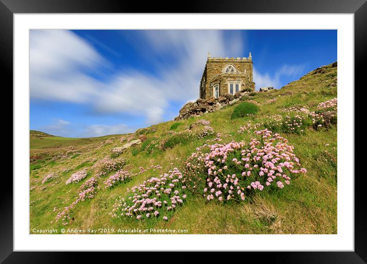 Thrift at Doyden Castle (Port Quin) Framed Mounted Print by Andrew Ray