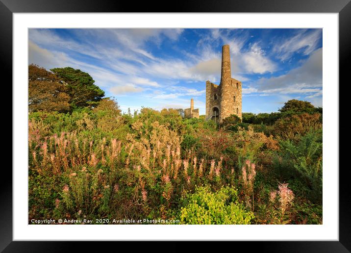 Late summer at Wheal Peevor Framed Mounted Print by Andrew Ray
