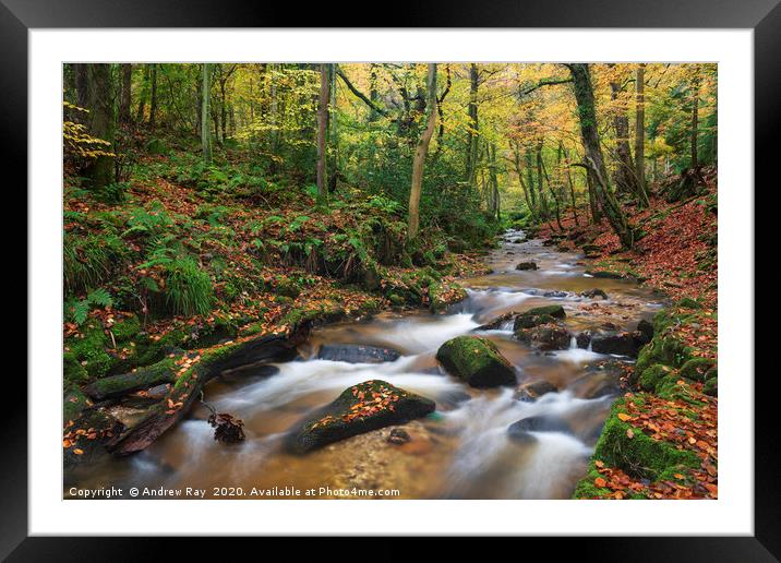 River in Nant Mill Wood Framed Mounted Print by Andrew Ray
