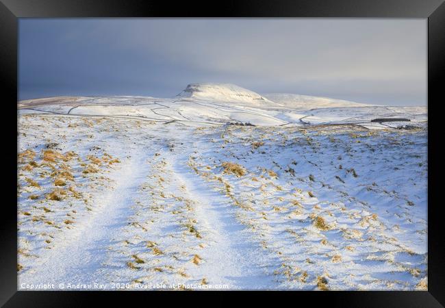 Path towards Pen-y-ghent Framed Print by Andrew Ray