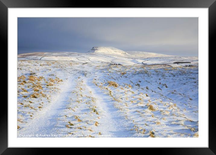 Path towards Pen-y-ghent Framed Mounted Print by Andrew Ray