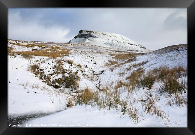 Snowy morning (Pen-y-ghent) Framed Print by Andrew Ray