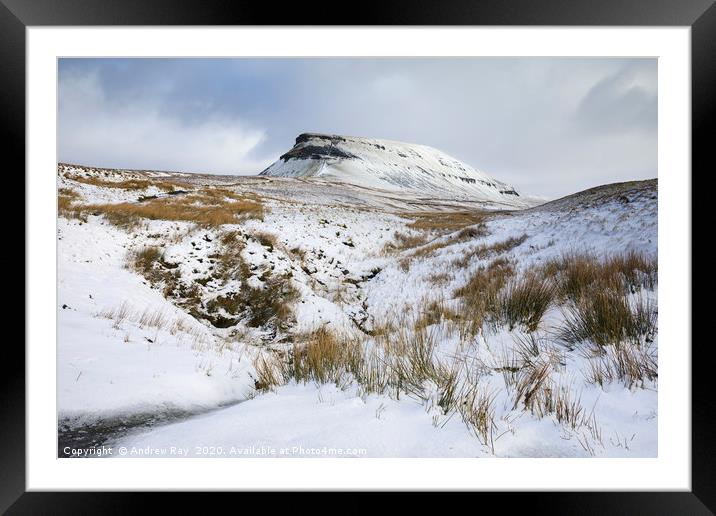 Snowy morning (Pen-y-ghent) Framed Mounted Print by Andrew Ray