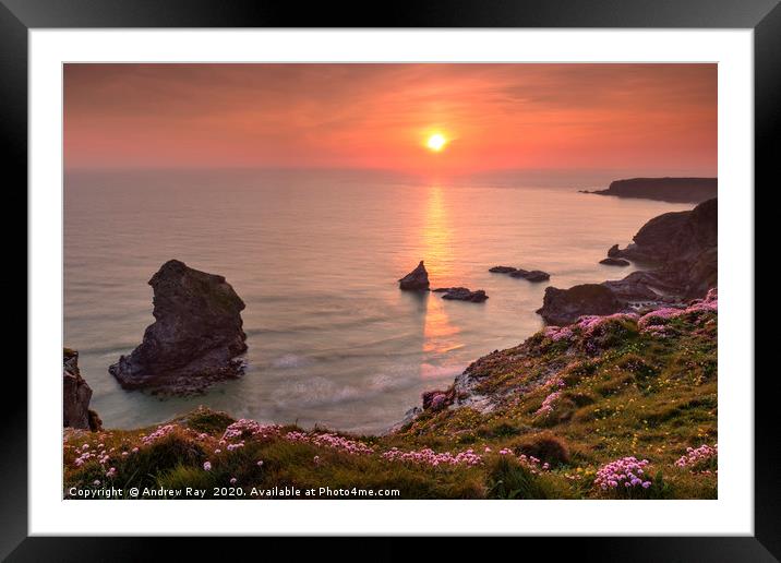 Thrift at Sunset (Bedruthan Steps)  Framed Mounted Print by Andrew Ray