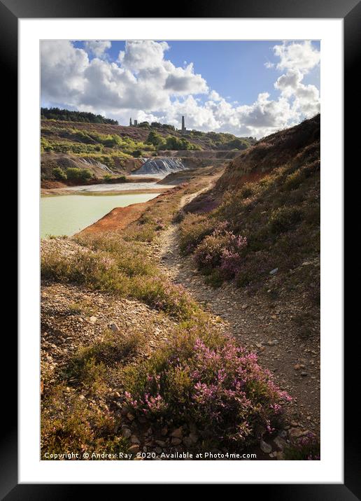 Path in Wheal Maid Valley Framed Mounted Print by Andrew Ray