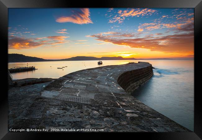 Sunrise from the Cobb Framed Print by Andrew Ray