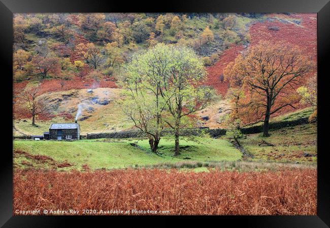 Autumn at Alisongrass Hoghouse Framed Print by Andrew Ray
