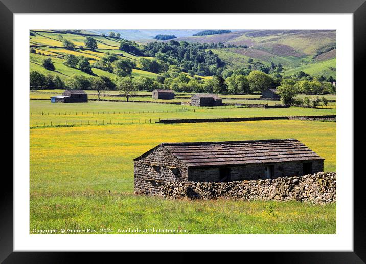 Raydale Barns Framed Mounted Print by Andrew Ray